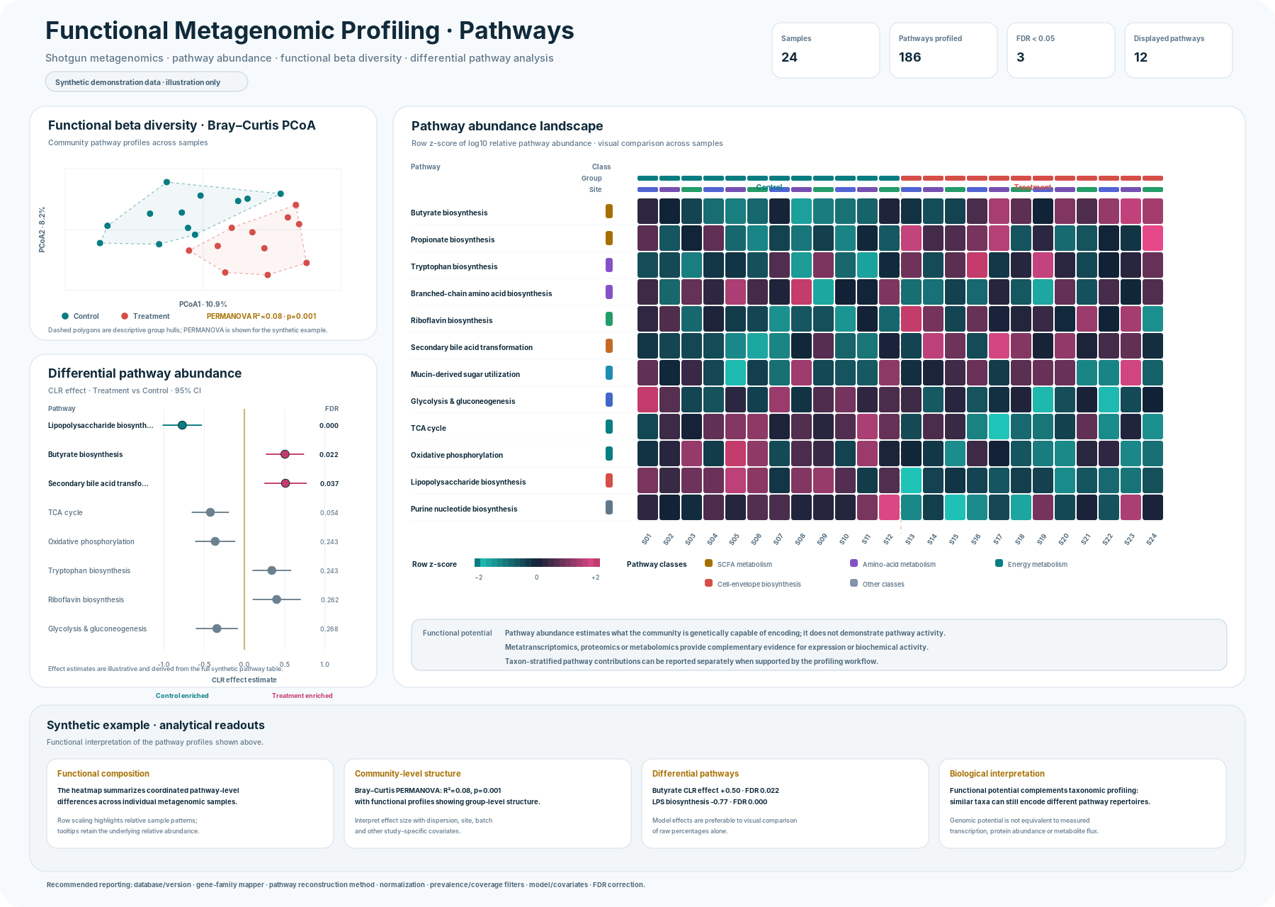 Functional Metagenomic Profiling